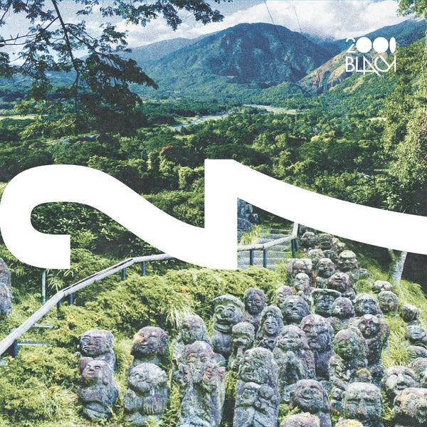 2000Black - 27 Vinyl