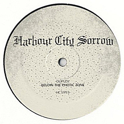 Duplex : Below The Photic Zone (12", RP) - Vinyl Record
