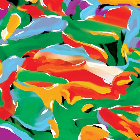 Auntie Flo - Birds of Paradise - Vinyl Record