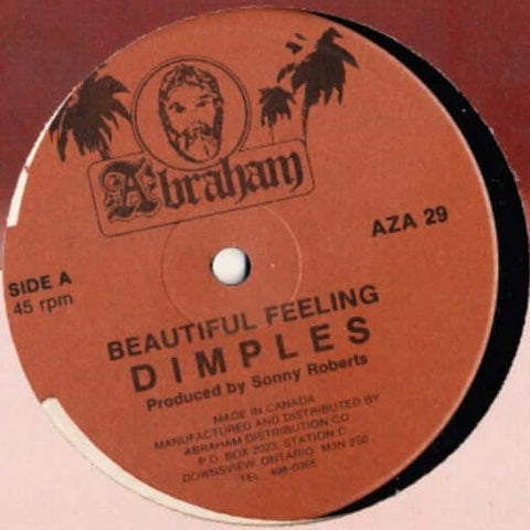 Dimples - Beautiful Feeling - Artists Dimples Genre Soca, Disco, Reggae Release Date 1 Jan 1980 Cat No. AZA 29 Format 12" Vinyl - Abraham - Abraham - Abraham - Abraham - Vinyl Record