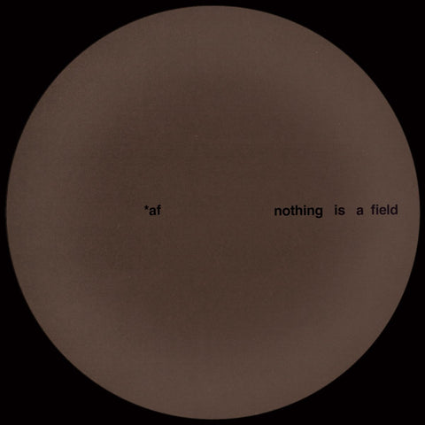 Adam Feingold - Nothing Is A Field (Ltd. 200 Copies) Vinyl - Vinyl Record