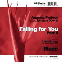 Ananda Project Featuring Terrance Downs - Falling For You (Part II) Vinyl - Vinyl Record