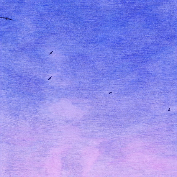 Auntie Flo - In My Dreams (I’m A Bird And I’m Free) Vinyl