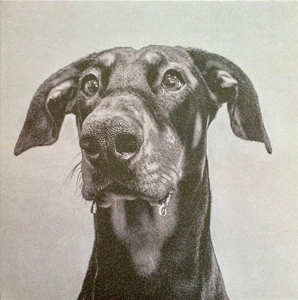 Big Special - Postindustrial Hometown Blues Vinyl