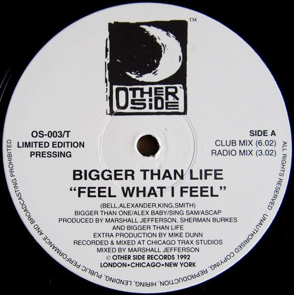 Bigger Than Life - Feel What I Feel / High And Mighty Vinyl