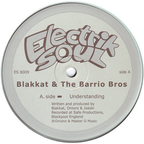 Blakkat & The Barrio Bros - Understanding Vinyl - Vinyl Record