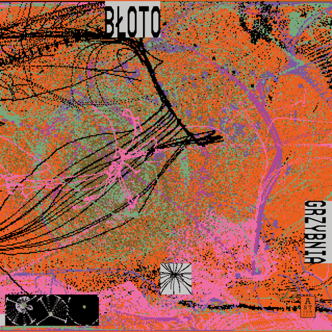 Bloto - Grzybnia Vinyl - Vinyl Record