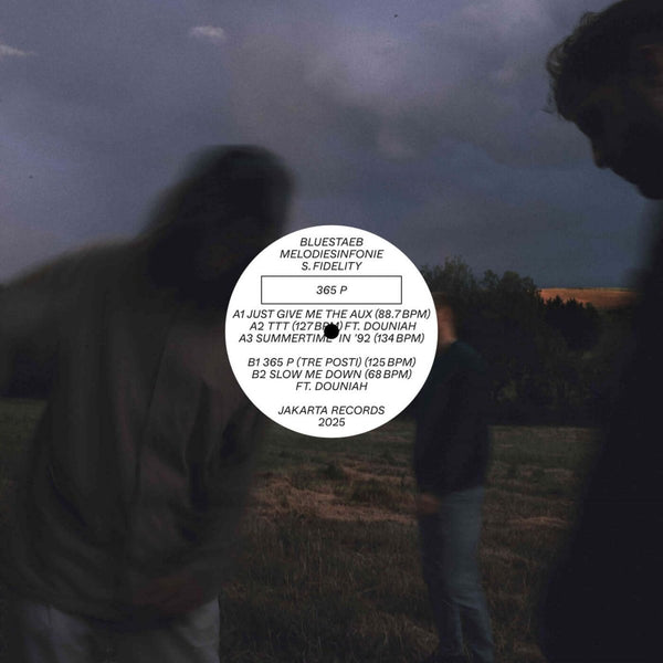 Bluestaeb, Melodiesinfonie & S. Fidelity - 365 P Vinyl