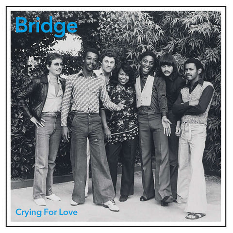 Bridge - Crying For Love Vinyl - Vinyl Record
