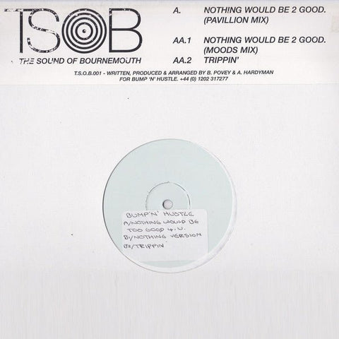 Bump 'N' Hustle - Nothing Would Be 2 Good / Trippin' Vinyl - Vinyl Record