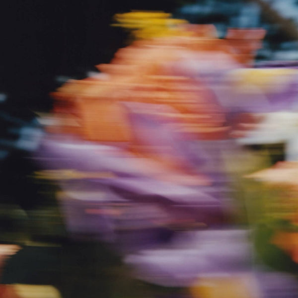 Catching Flies - Tides Vinyl