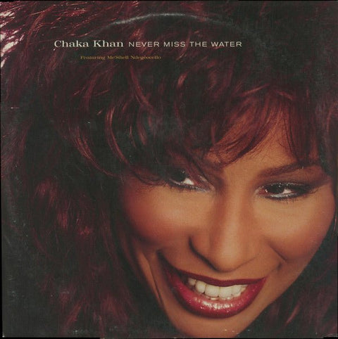 Chaka Khan Featuring Me'Shell NdegéOcello - Never Miss The Water Vinyl - Vinyl Record