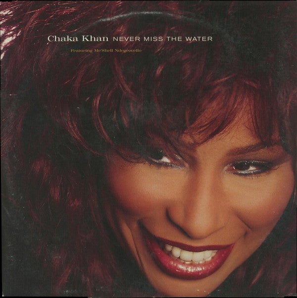 Chaka Khan Featuring Me'Shell NdegéOcello - Never Miss The Water Vinyl