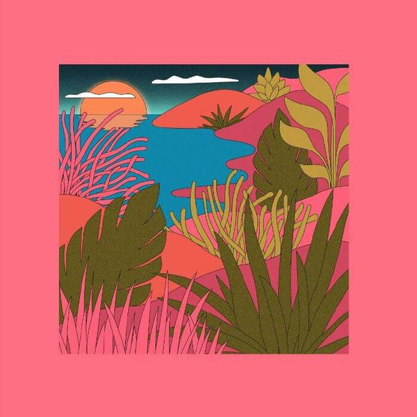 Coyote / Peaking Lights - Love Letters Vinyl