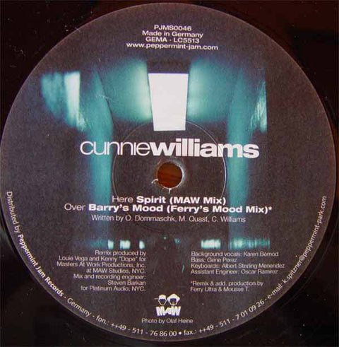 Cunnie Williams - Spirit Vinyl - Vinyl Record