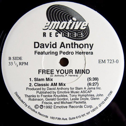 David Anthony Featuring Pedro Herrera - Free Your Mind Vinyl - Vinyl Record
