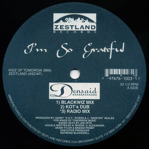 Densaid - I'm So Grateful / K.O.T. Anthem (Remix) Vinyl - Vinyl Record