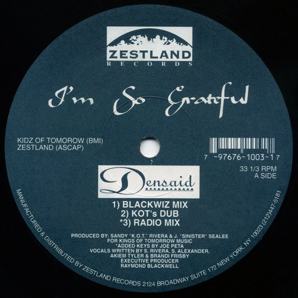 Densaid - I'm So Grateful / K.O.T. Anthem (Remix) Vinyl
