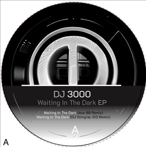 DJ 3000 - Waiting in the Dark EP Vinyl - Vinyl Record