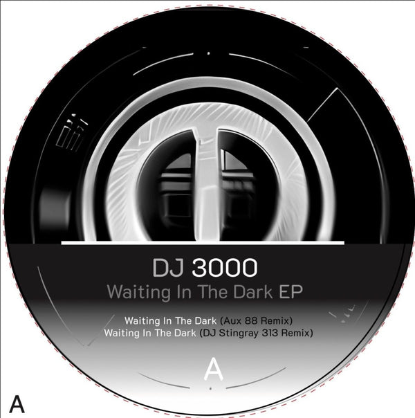 DJ 3000 - Waiting in the Dark EP Vinyl