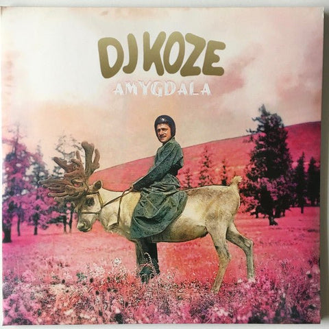 DJ Koze - Amygdala Vinyl - Vinyl Record