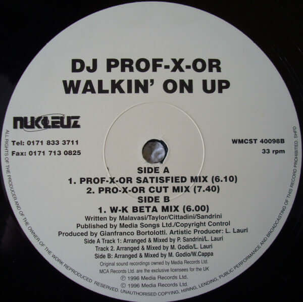 DJ Professor - Walkin' On Up - The Remixes Vinyl
