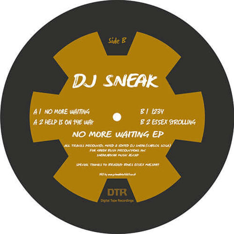 DJ Sneak - No More Waiting EP Vinyl - Vinyl Record