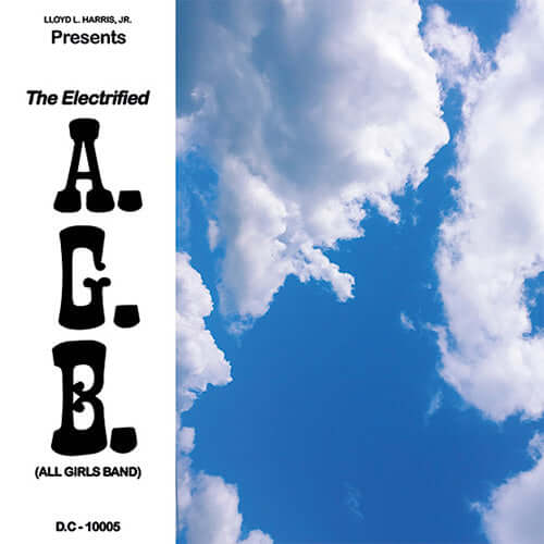 Electrified A.G.B. - Fly Away Vinyl
