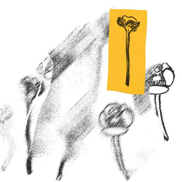 Eversines - Bloei Vinyl