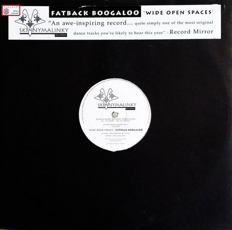 Fatback Boogaloo - Wide Open Spaces Vinyl - Vinyl Record