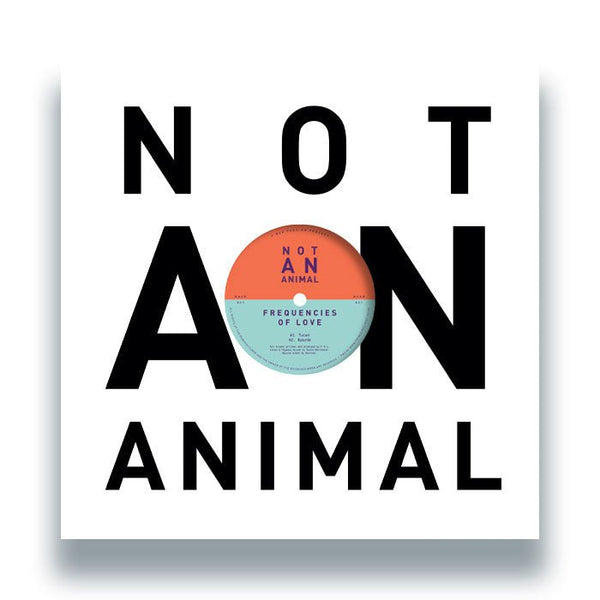 Frequencies Of Love - Frequencies Of Love EP Vinyl