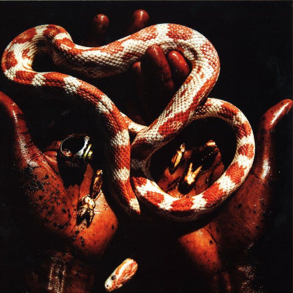 FunkinEven Feat. Jay Daniel - Discipline Vinyl