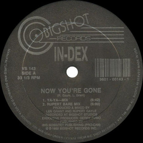 In - Dex - Now You're Gone Vinyl - Vinyl Record
