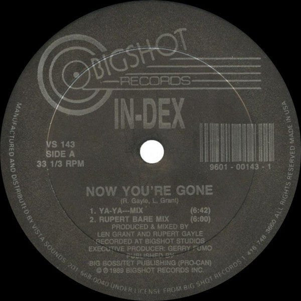 In - Dex - Now You're Gone Vinyl