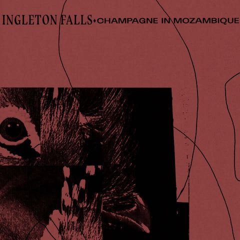 Ingleton Falls - Champagne In Mozambique Vinyl - Vinyl Record