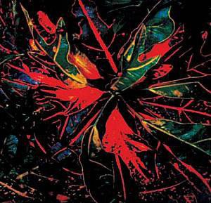 Jay Daniel - Karmatic Equations Vinyl - Vinyl Record