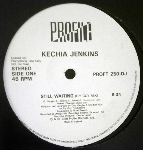 Kechia Jenkins - Still Waiting Vinyl - Vinyl Record