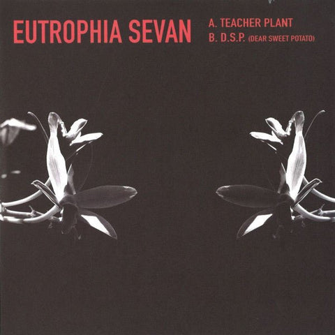 Kyle Hall - Eutrophia Sevan Vinyl - Vinyl Record