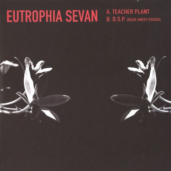 Kyle Hall - Eutrophia Sevan Vinyl