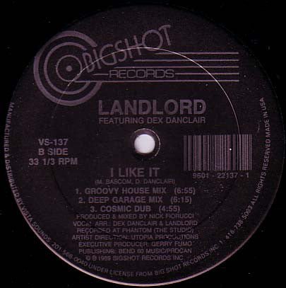 Landlord Featuring Dex Danclair - I Like It Vinyl - Vinyl Record