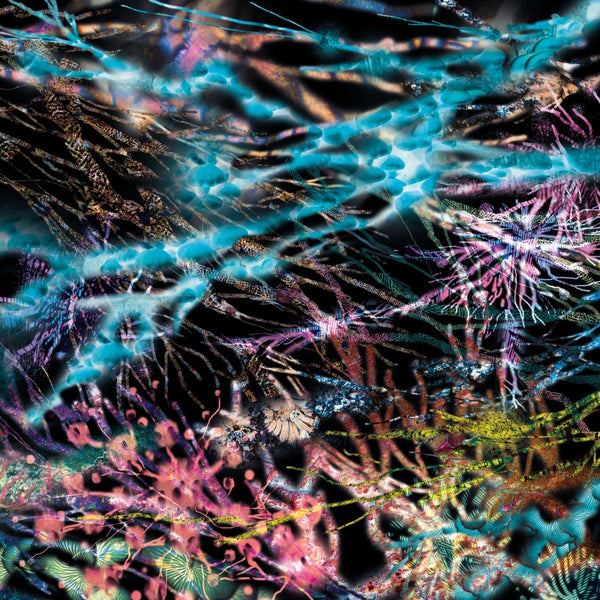 LCSM (Likwid Continual Space Motion) - The Remedy Vinyl