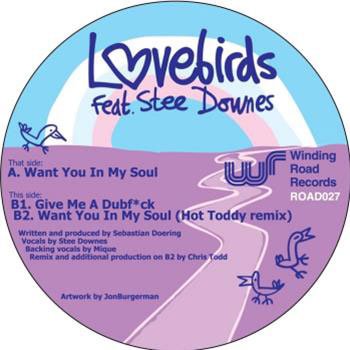 Lovebirds Feat. Stee Downes - Want You In My Soul Vinyl