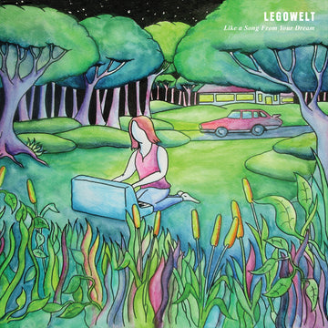 Legowelt - Like A Song From Your Dream Vinly Record