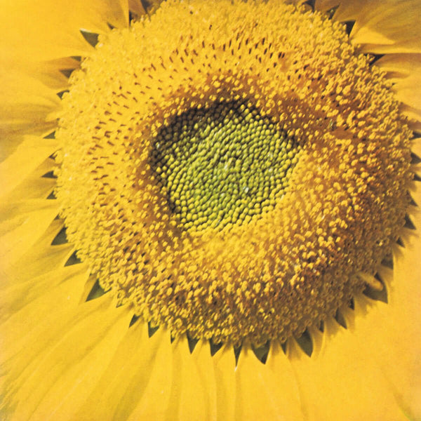 Marcos Valle - Girassol Vinyl