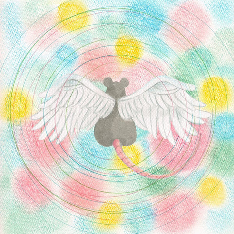 Mei Semones - Animaru Vinyl - Vinyl Record