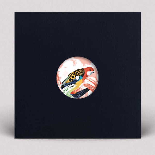 Michael The Lion / Natasha Kitty Katt - I Found Peace Vinyl