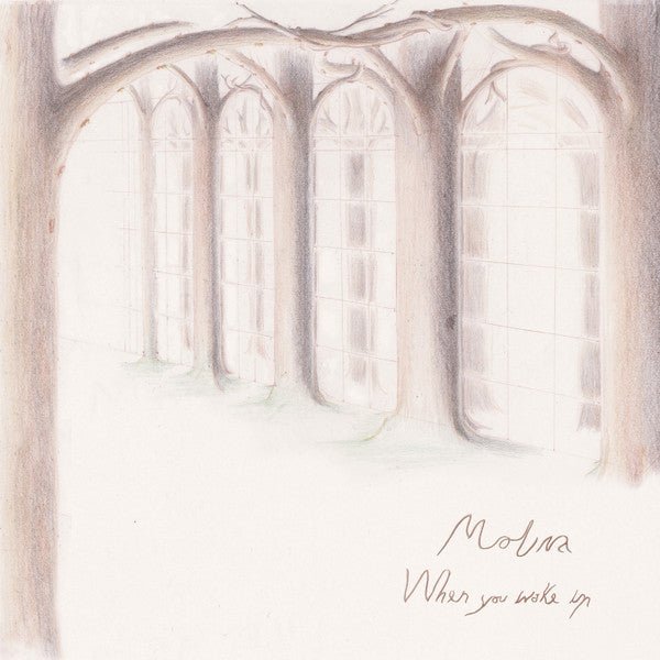 Molina - When You Wake Up (Ltd. 500 Copies) Vinyl