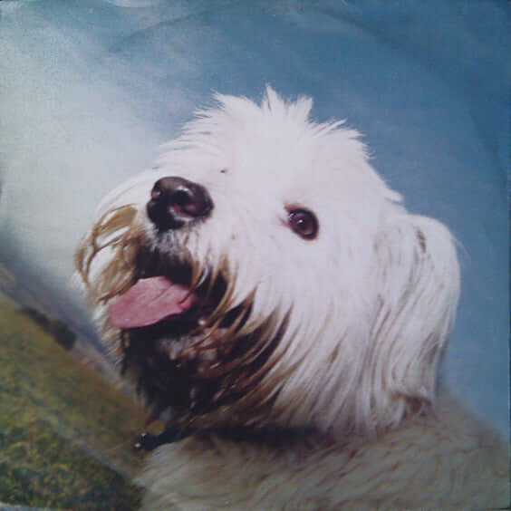 Moloko - Sing It Back (Mixes. 2) Vinyl