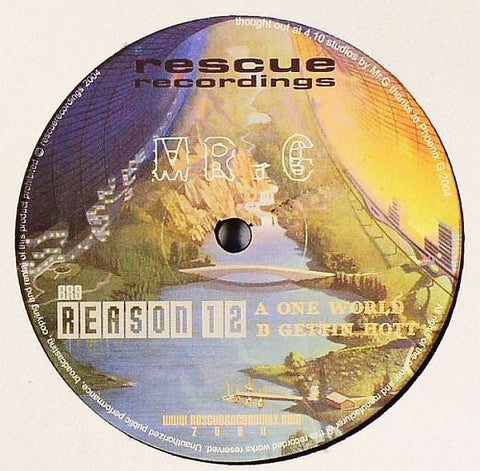 Mr. G - Reason 12 Vinyl - Vinyl Record