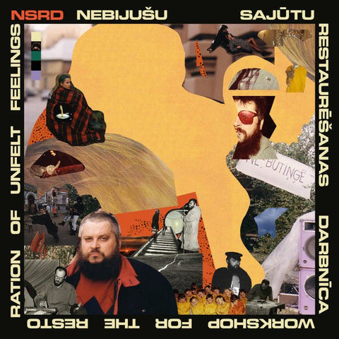NSRD - Workshop For The Restoration Of Unfelt Feelings Vinyl - Vinyl Record